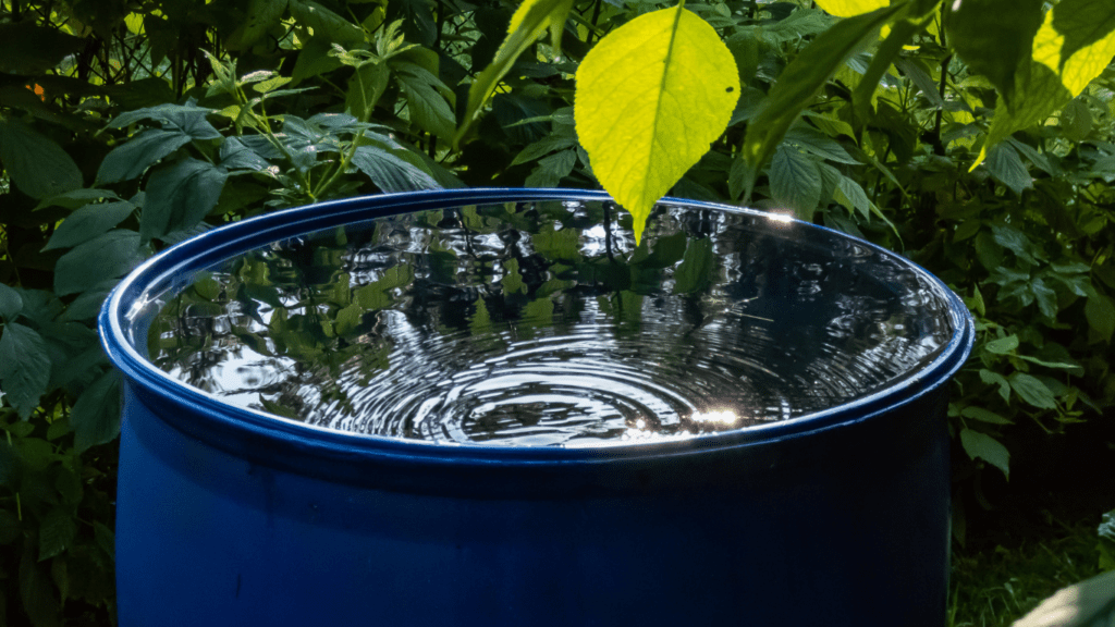 Collecting and Using Rainwater