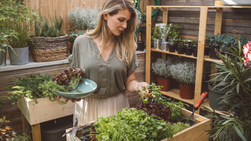 Preparing Your Garden