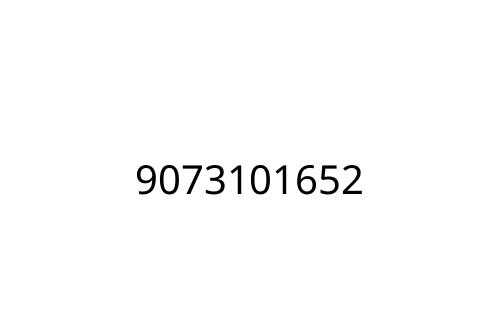 9073101652