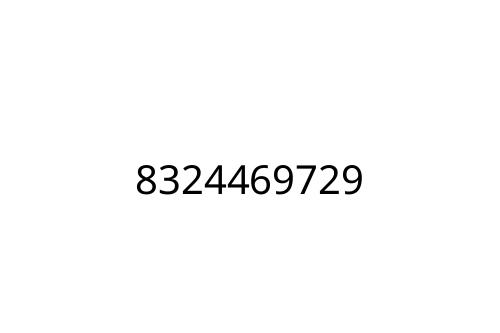 8324469729