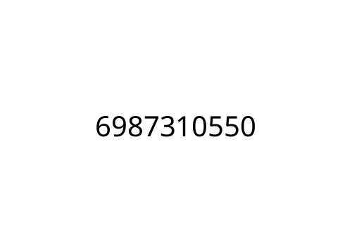6987310550