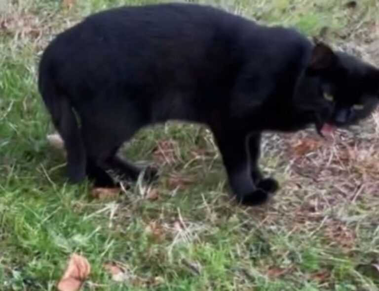 architecture plans kdainteriorment