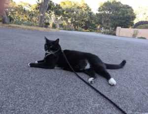 building guide kdainteriorment