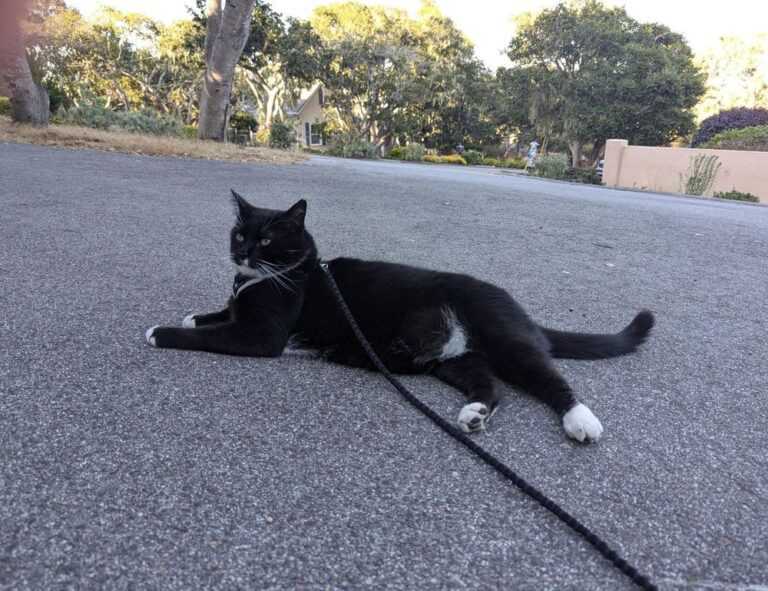 building guide kdainteriorment