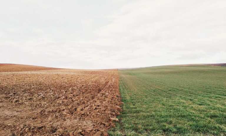 can bigussani cook at home