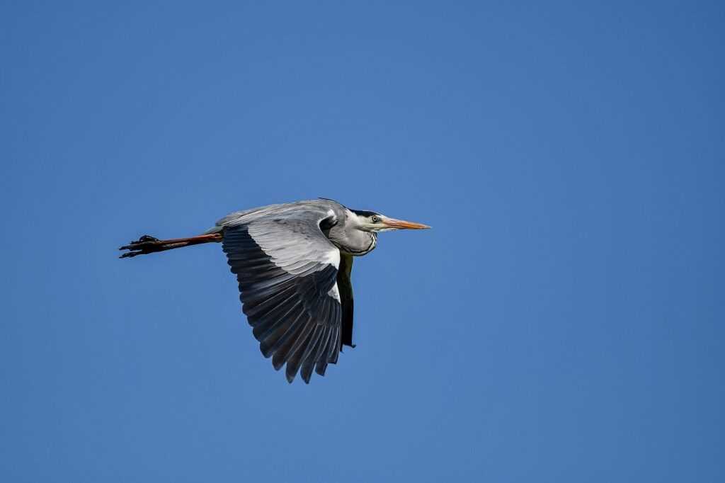 what architecture is all about kdainteriorment