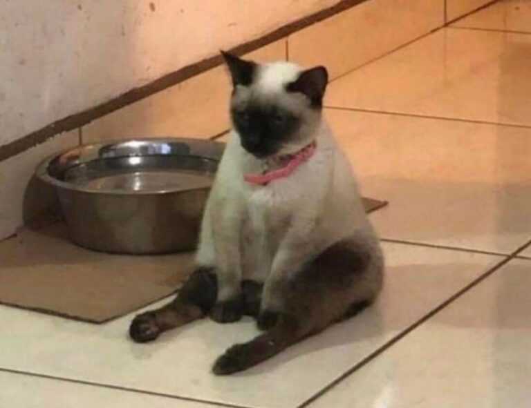 what makes architecture unique kdainteriorment