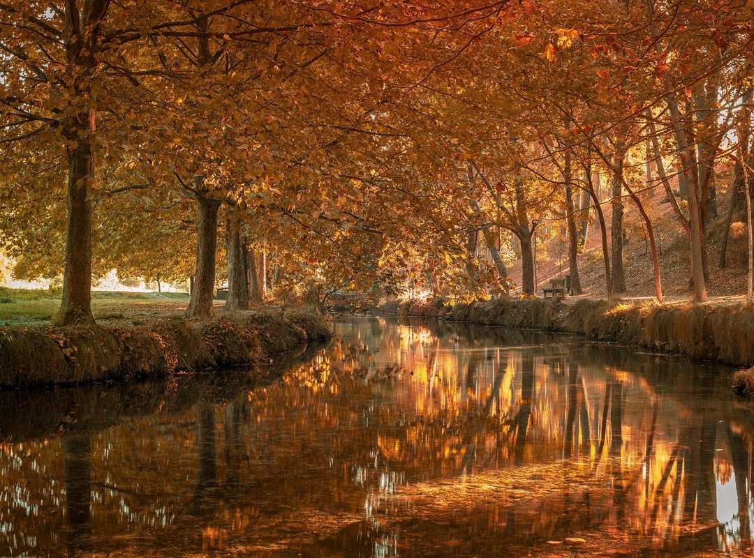 Gestión Efectiva de Propiedades de Alquiler