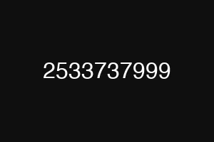 2533737999