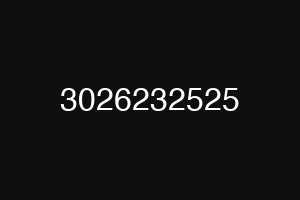 3026232525