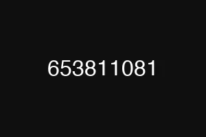 653811081