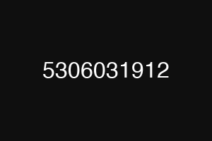 5306031912