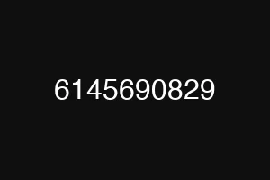 6145690829