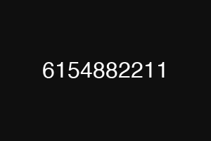 6154882211