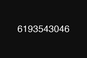 6193543046