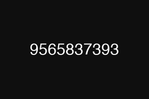 9565837393