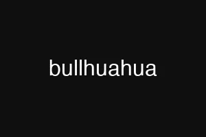 bullhuahua