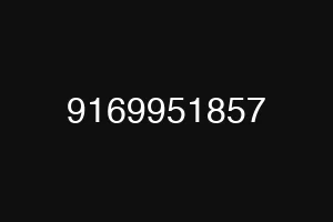9169951857