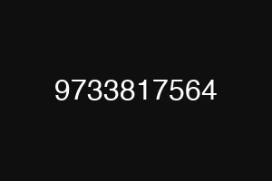 9733817564